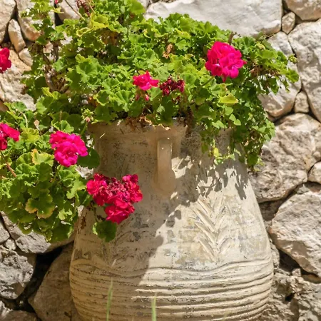 Вилла Elpida Сивота